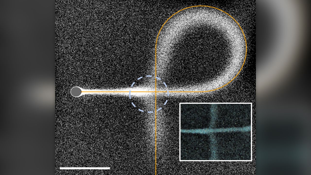Lower case Greek letter phi with loop and line crossing. Note the bending of the crossed line and the formation of a region of enhanced density along the freshly written line (dashed circle). Inset: Writing at high IEX speed of vIEX = 10 &micro;m s&minus;1 reduces blobbing but retains line bending.