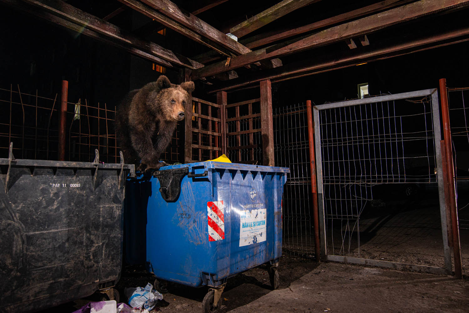 European Wildlife Photographer of the Year 2022