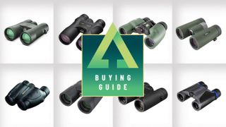 Collage of the best binoculars