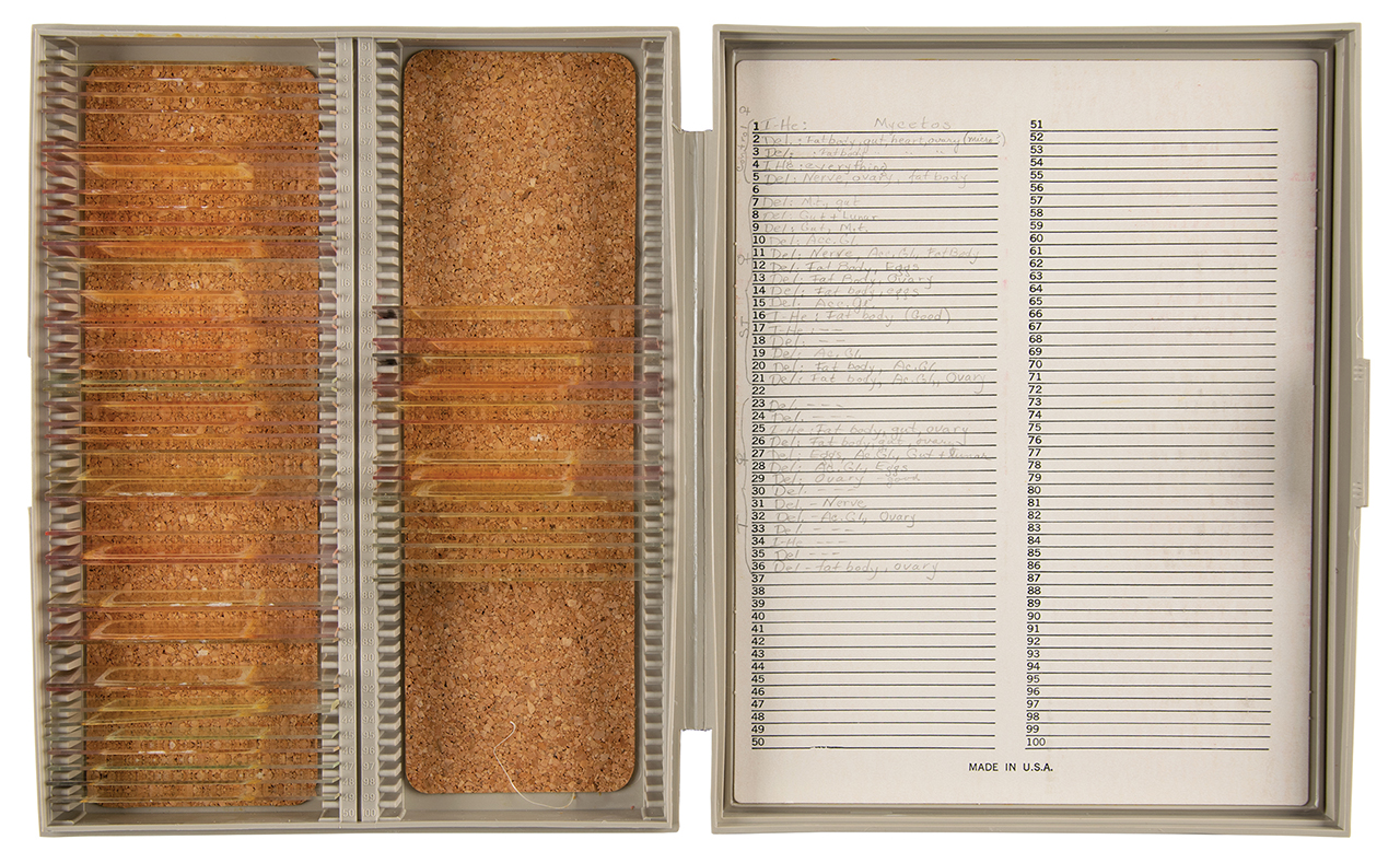 "Microscope slides prepared from cockroaches that were fed moon rock," as included in the auction lot.