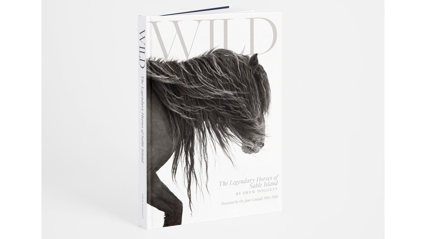 Wild review