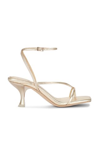 Fluxx Sandal