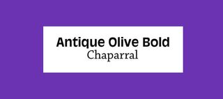 Font pairings: Antique Olive Bold and Chaparral