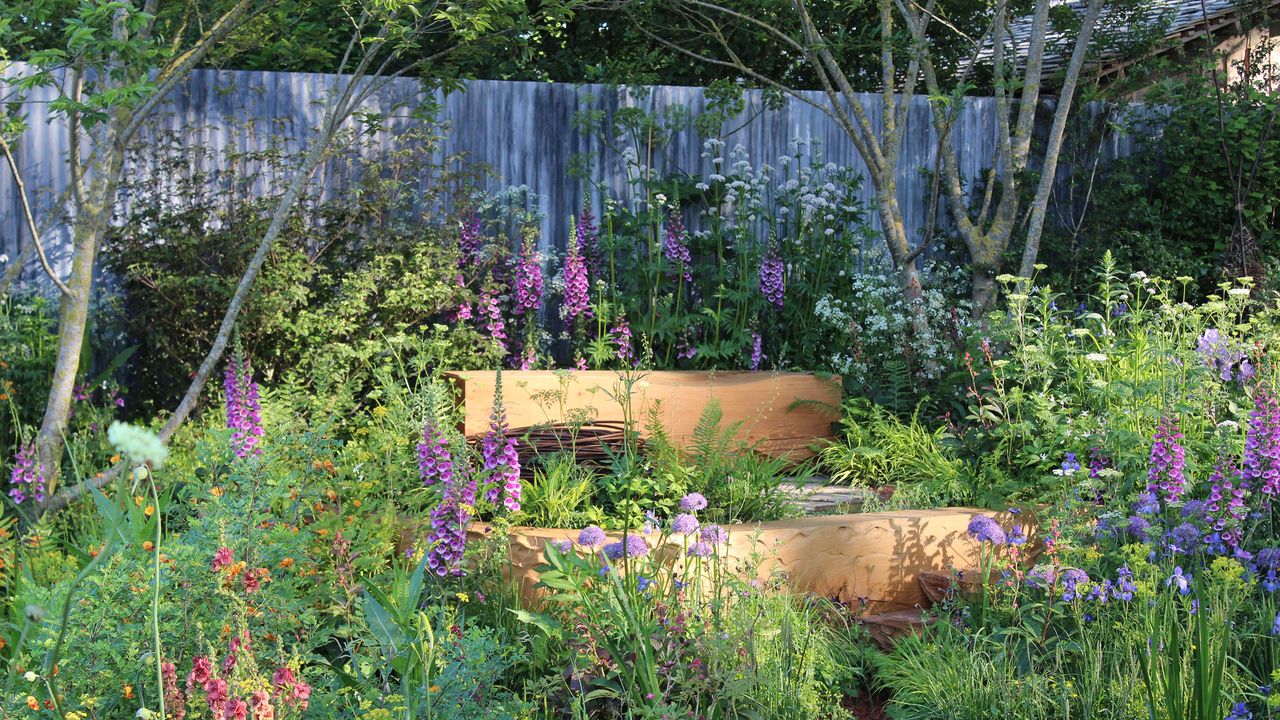 Image of a garden with grey fence, planted with wild flowers and foxgloves on different levels with large wooden block benches