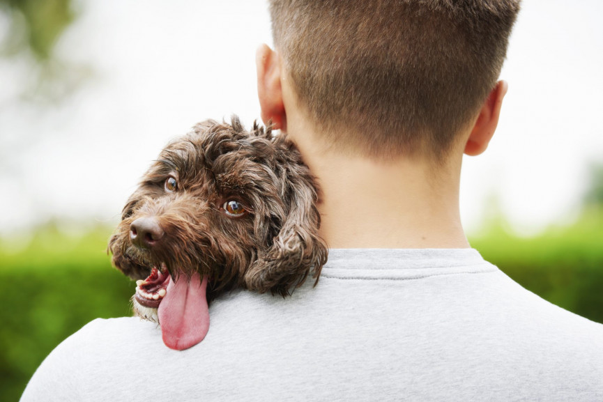 dogs-know-when-youre-sad-and-want-to-help-you-according-to-study-1556647243-iFcA-column-width-inline