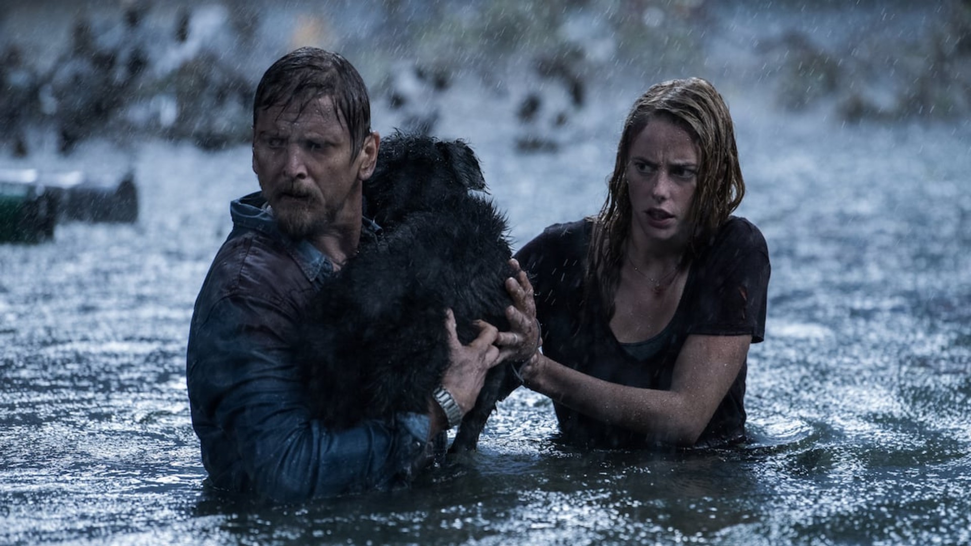 Crawl movie