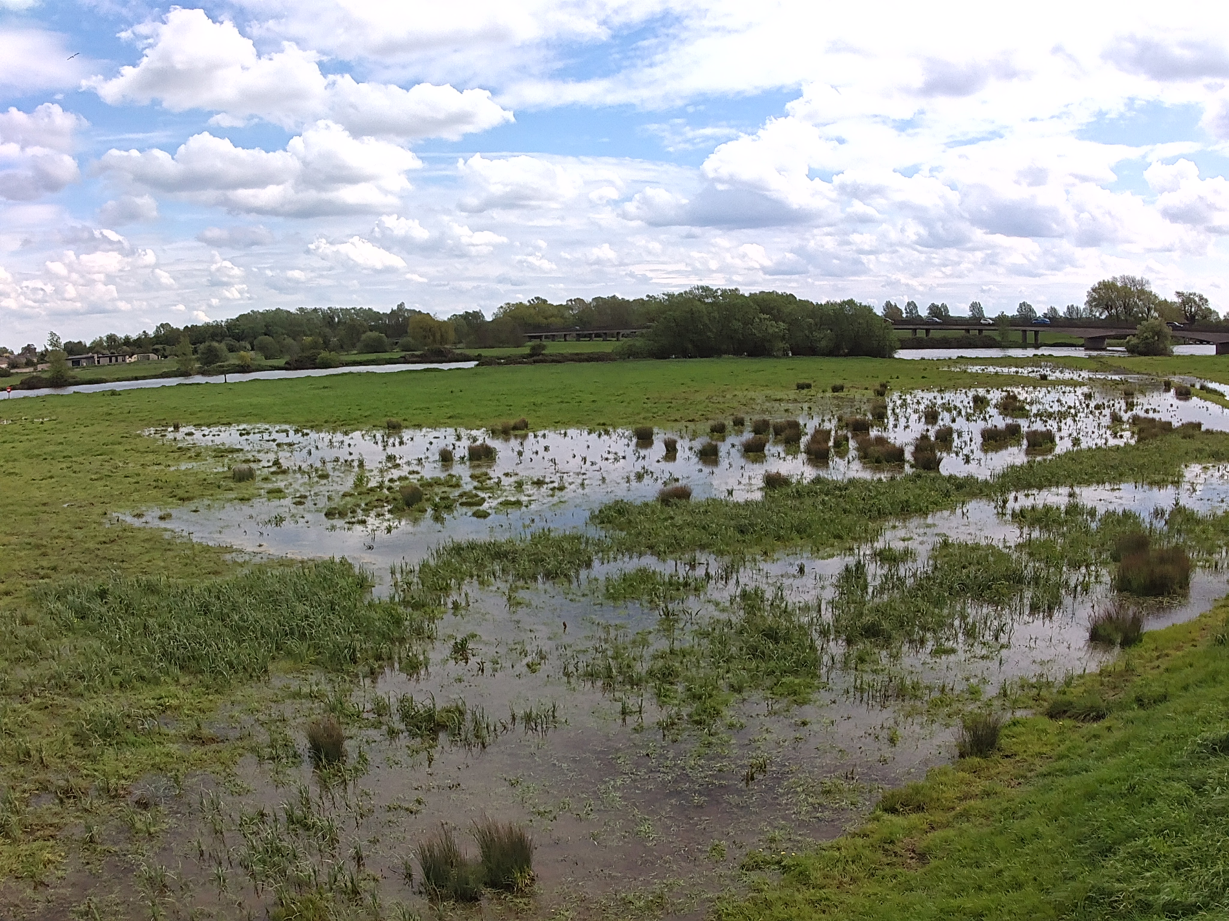 Photo of marshland taken with the Ruko F11 Mini drone