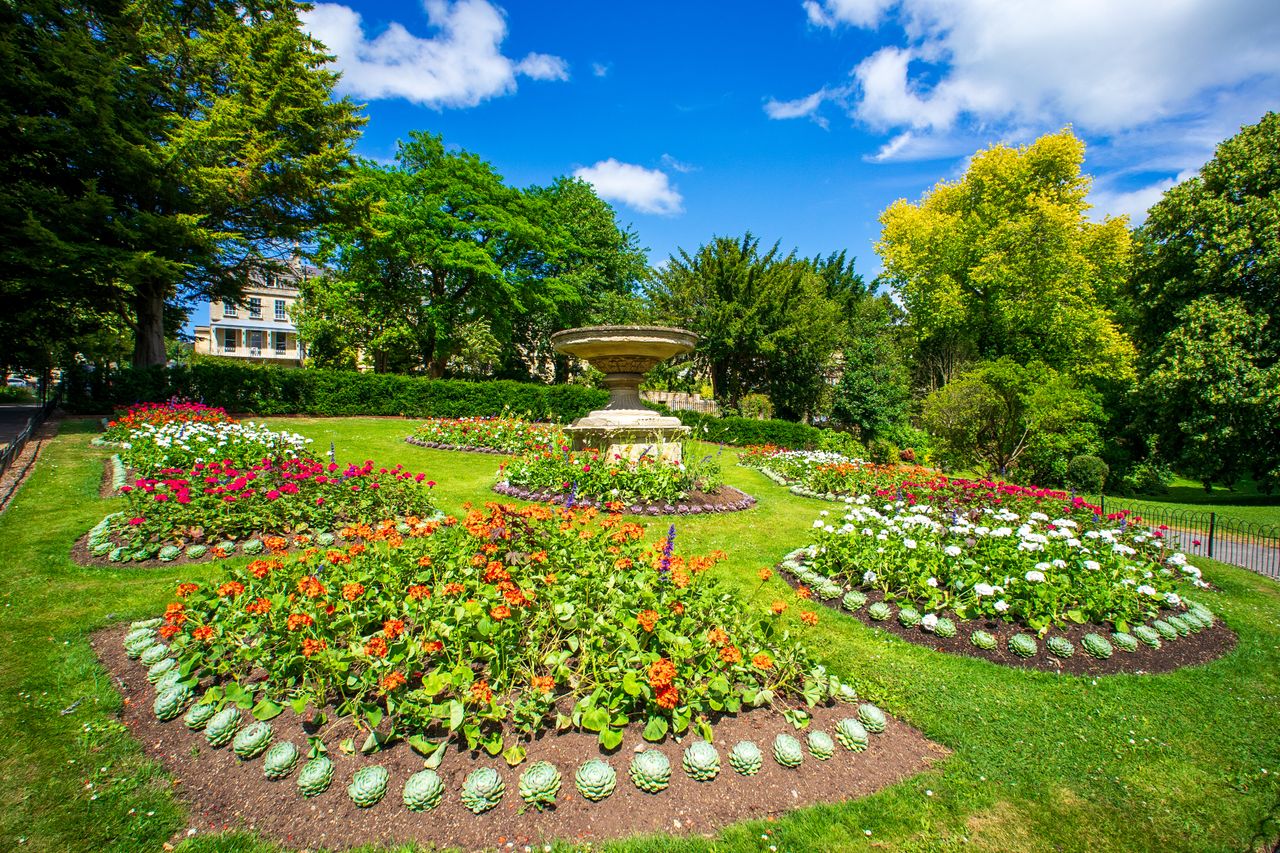 Yongnuo YN11mm F1.8S DA DSM WL