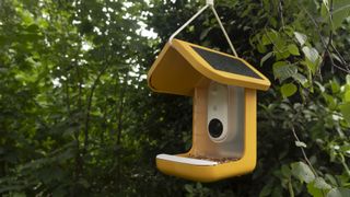 Bird Buddy Smart Bird Feeder camera hanging from a garden tree