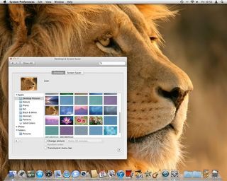 Lion desktop