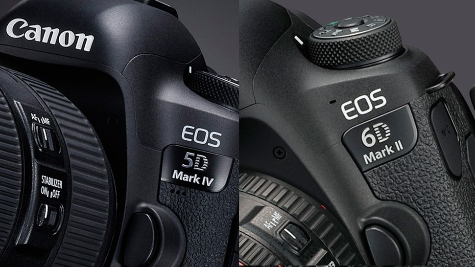 Canon EOS 5D Mark vs EOS 6D Mark Specs compared | Digital Camera World