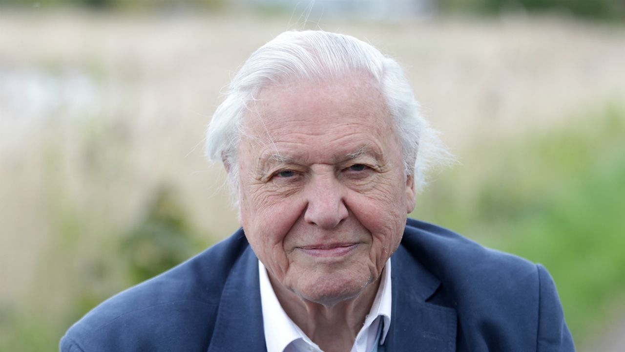 David Attenborough