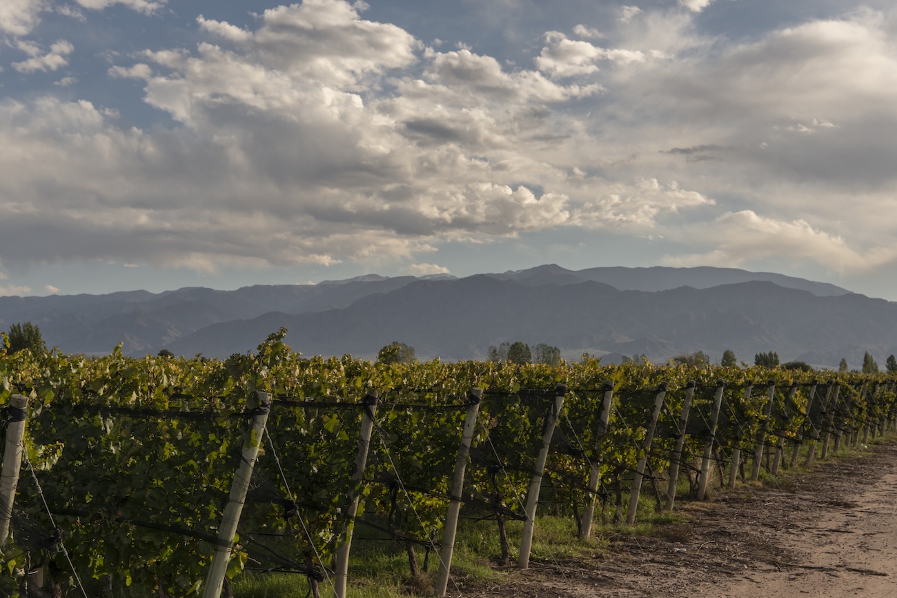 Finca La Delfina in Paraje Altamira