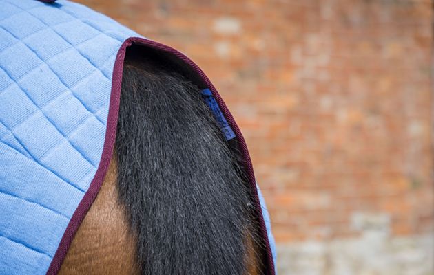 Thermatex Duet Cooler Rug review