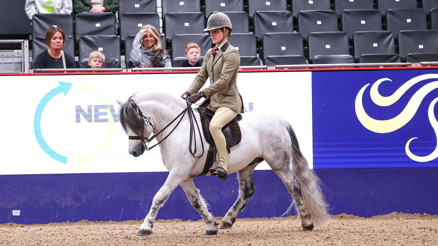 HorseNo_328_LIHS_PN24_182078