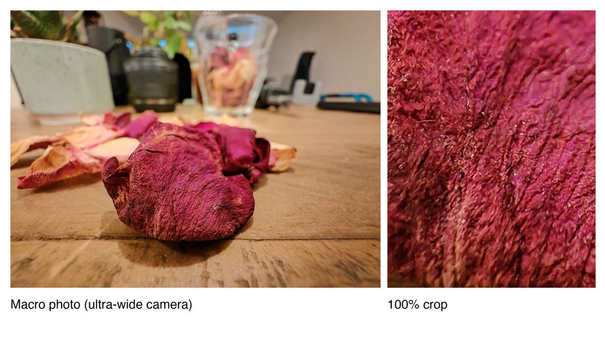 Sample photos taken on the Honor Magic 4 Pro