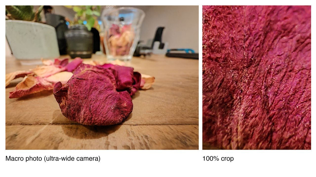 Sample photos taken on the Honor Magic 4 Pro