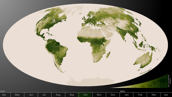 Subtle vegetation changes are visible in this year-long visualization. Large-scale patterns vary with seasons, but the local variations in green are also sensitive precipitation, drought and fire. High values of Normalized Difference Vegetation Index, or NDVI, represent dense green functioning vegetation and low NDVI values represent sparse green vegetation or vegetation under stress from limiting conditions, such as drought. This image was released June 19, 2013.