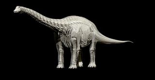 David Attenborough introduces the most current representation of dinosaurs in Sky’s Natural History Museum Alive 3D