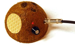 Coconut amp