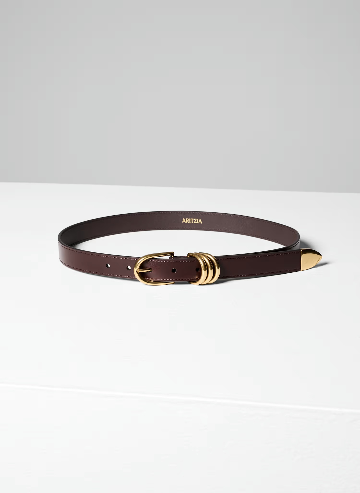 Aritzia, Opulence Solid Brass Leather Belt