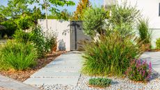 simple garden design with ornamental grasses, pavers and gravel landscaping