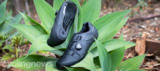 A pair of black Shimano RC3 shoes propped on the leaves of a large garden plant