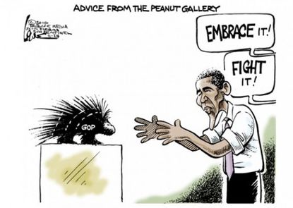 Obama's dicey decision