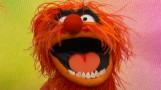 the muppets animal