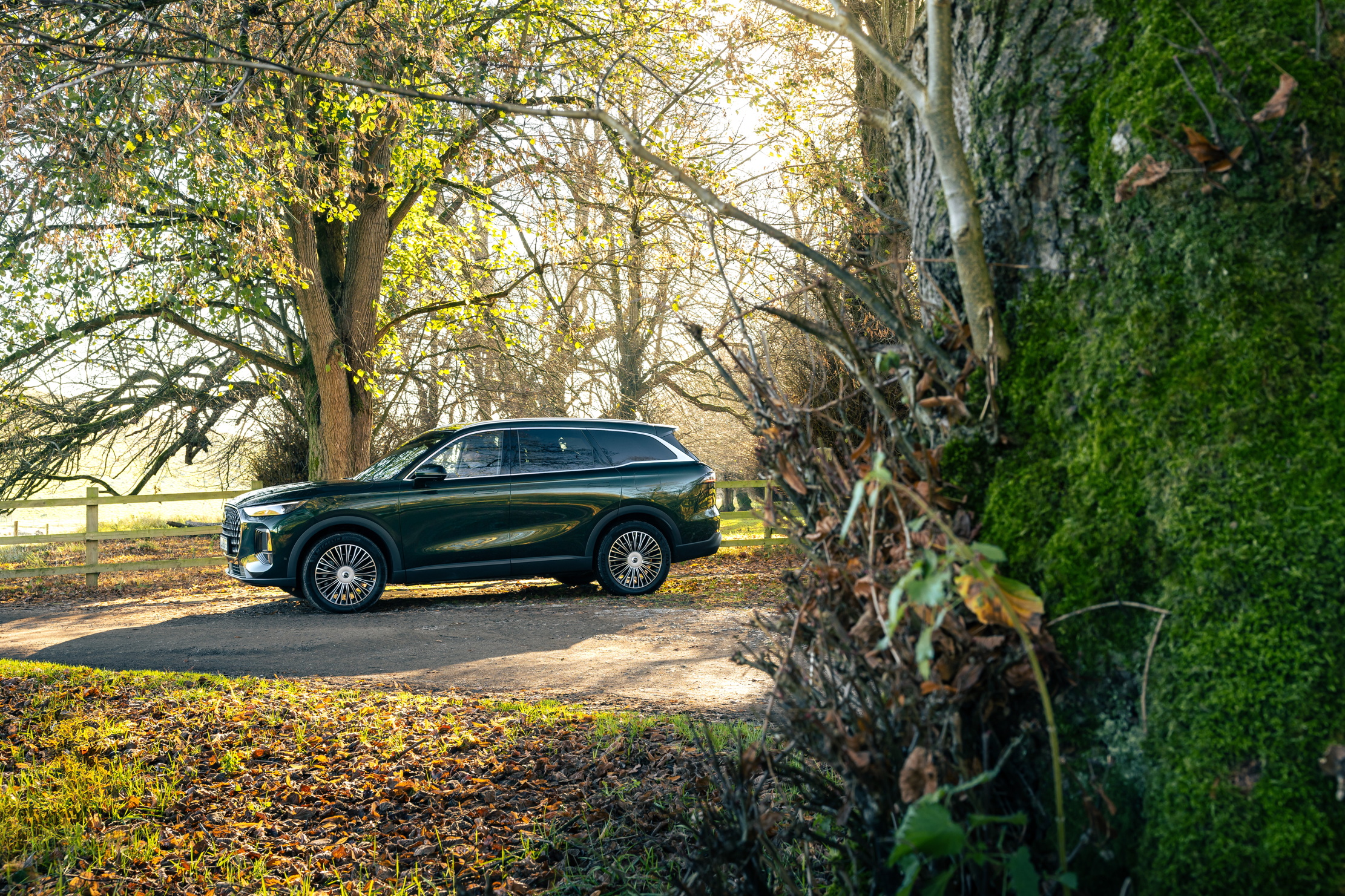 Side profile of the Chery Tiggo 9, a large SUV, in a woodland setting