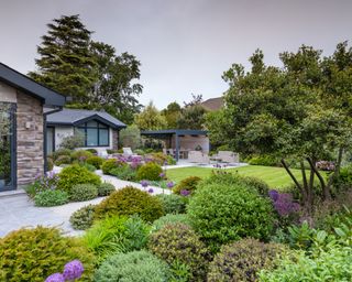 A view of a garden with outdoor living zones defined by planting beds of clipped evergreen mounds and alliums