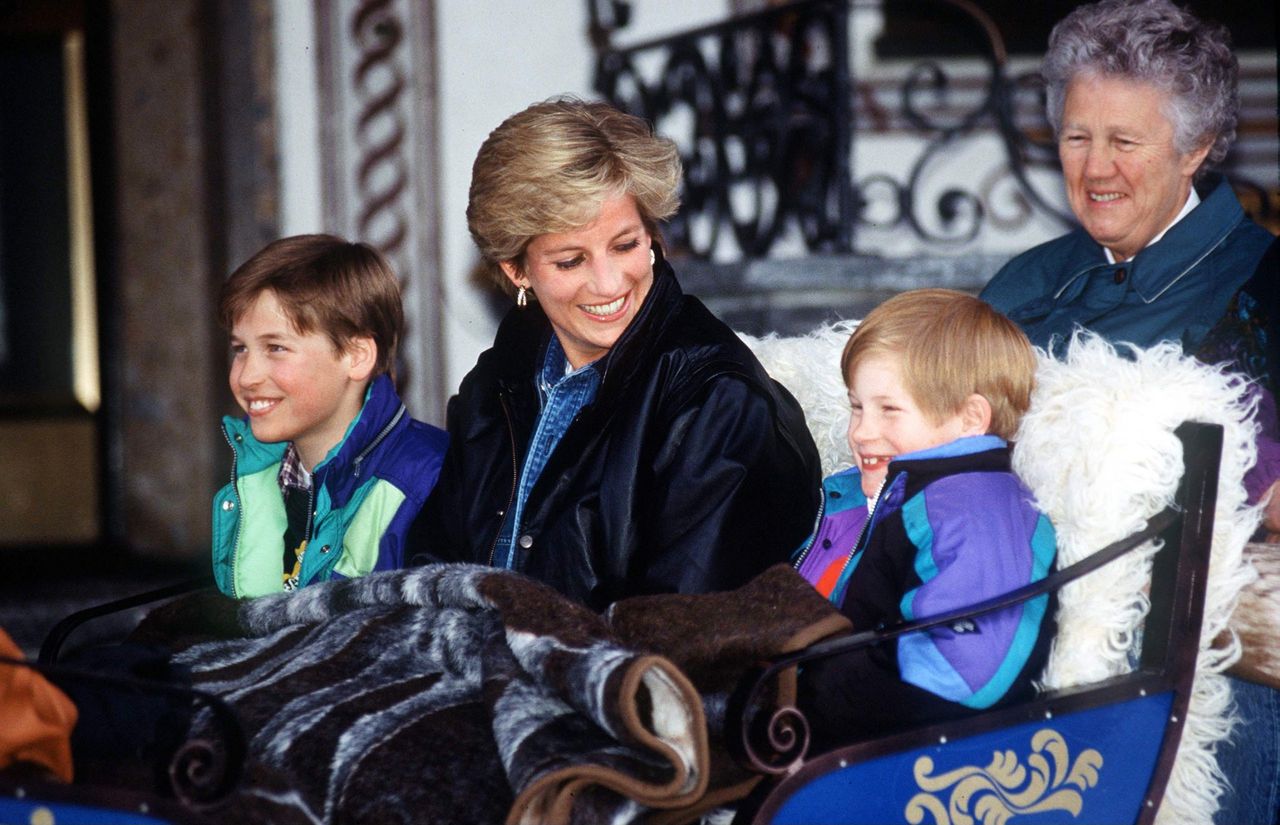 Prince Harry Princess Diana Prince William