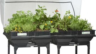 Vegepod self-contained raised garden beds