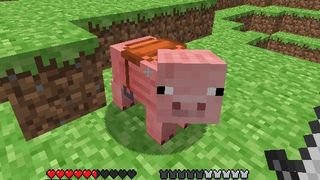 Minecraft Diary - Saddle Pig