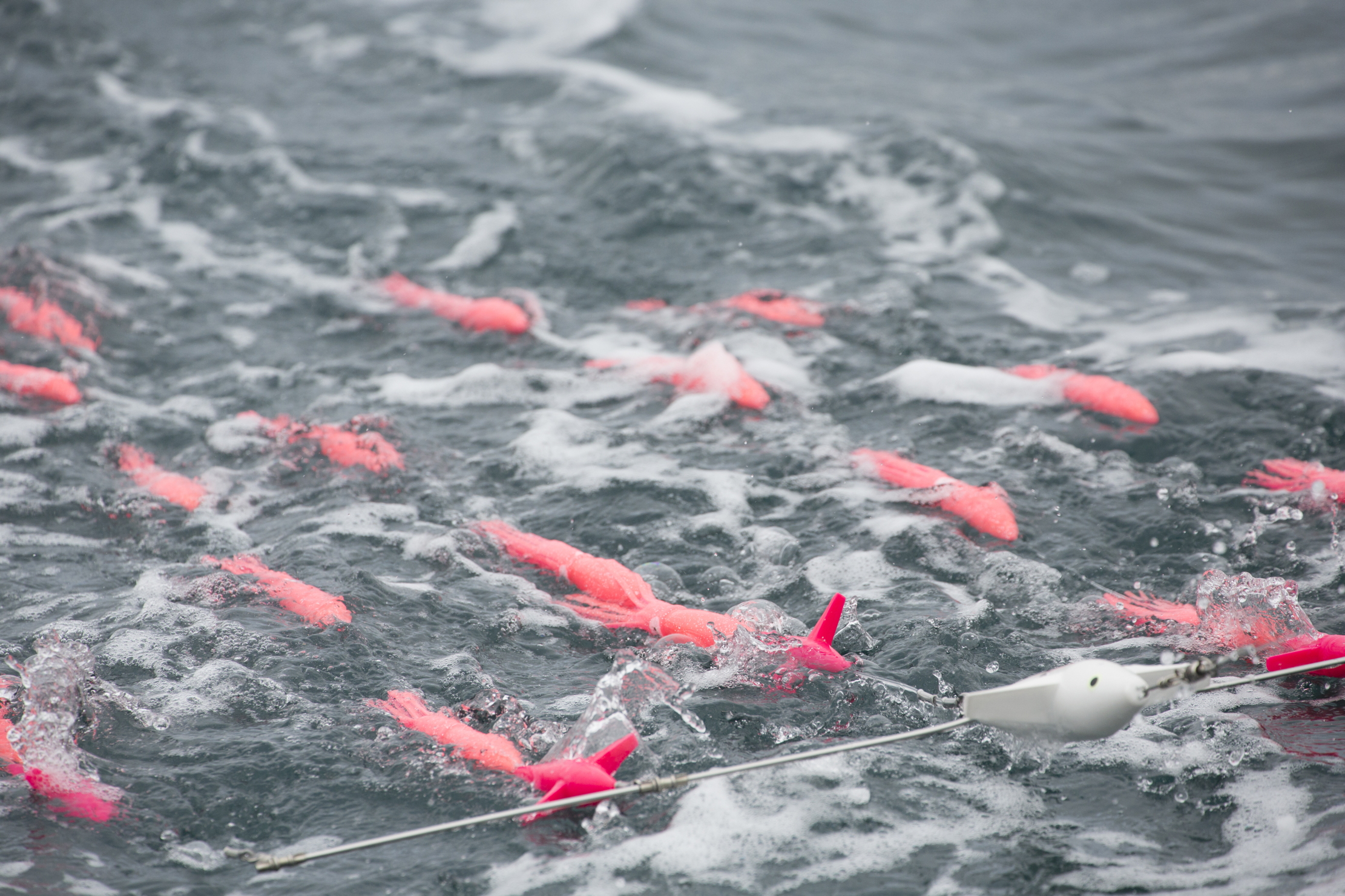 Fishing for Tuna in Falmouth