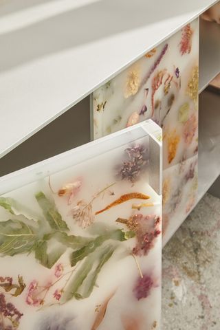 Detail of the Flora cabinet by Marcin Rusak with dried flowers embedded in a white resin surface