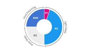 A flow chart showing the different stages of sleep with arrows pointing from light sleep, to deep sleep and to vivid dreaming