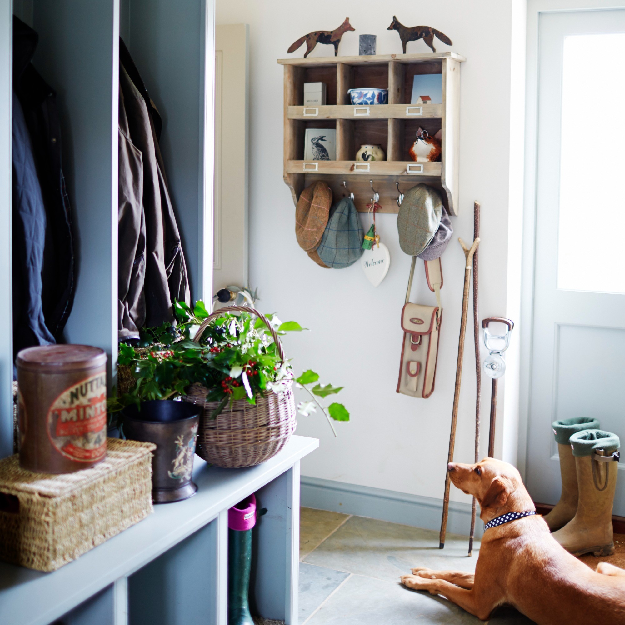 A hallway with a dog lying on the floor and next to some walking sticks and boots
