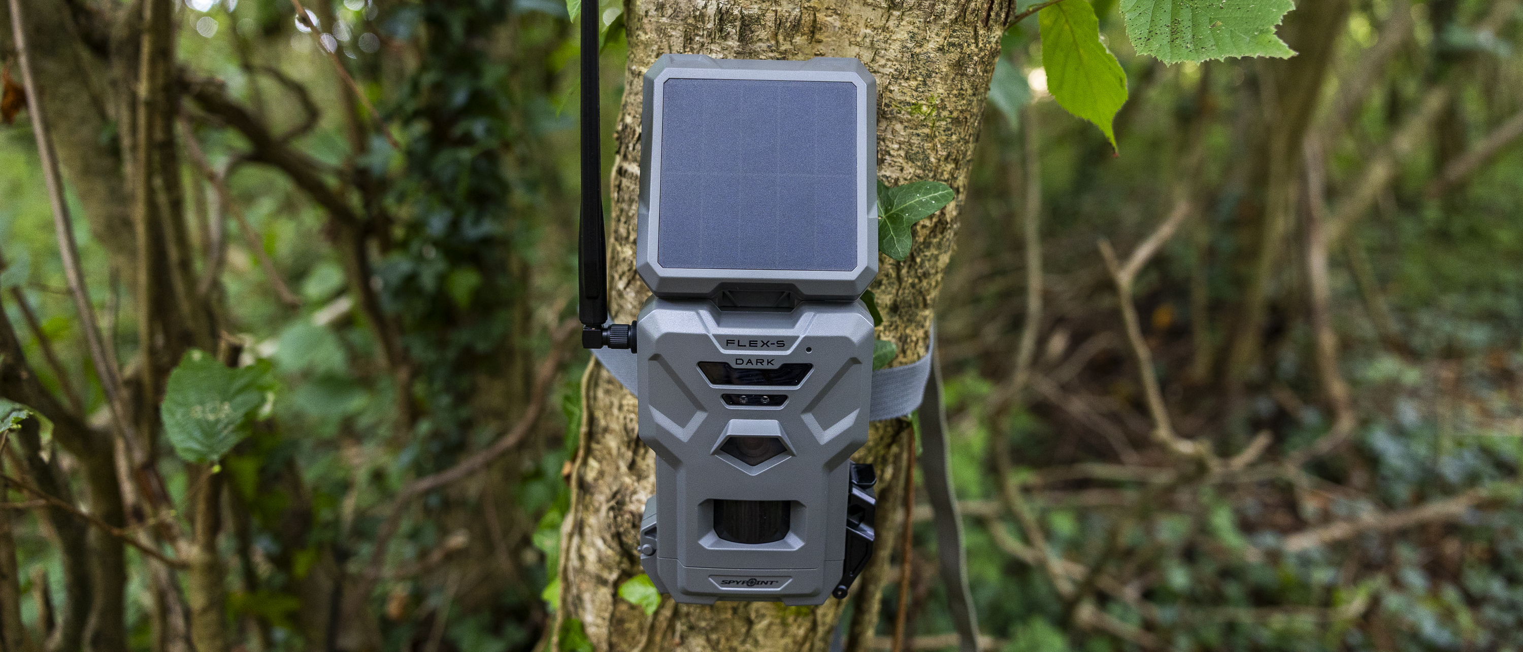 The Spypoint FLEX-S-Dark trail camera in a woodland