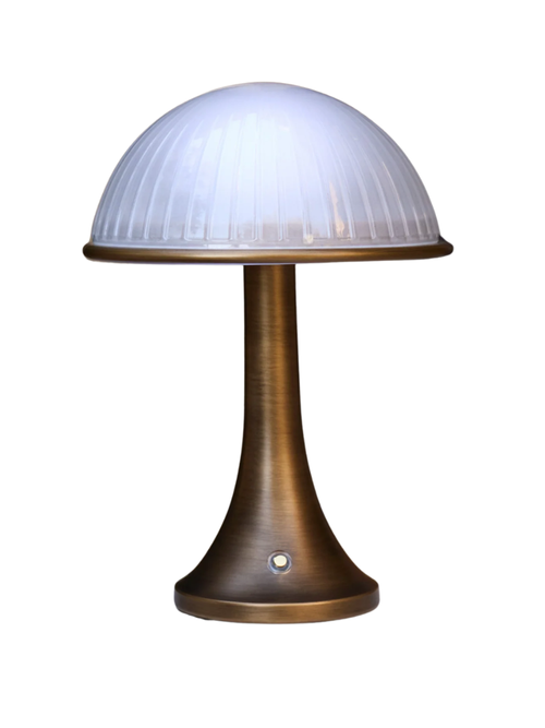 Chamblin Outdoor Cordless Table Lamp