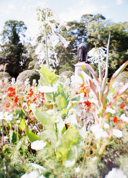 Lomo la sardina