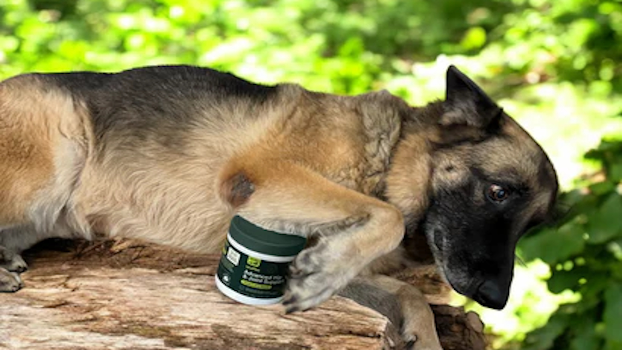A German Shepherd lying on a log with their paw on a tub of Wuffes Advanced Joint and Hip supplement