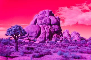 Arizona desert by Kate Ballis