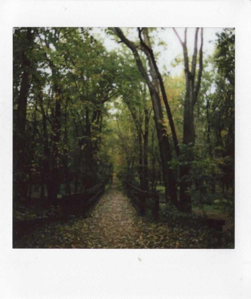 Image samples from the Fujifilm Instax Square 2