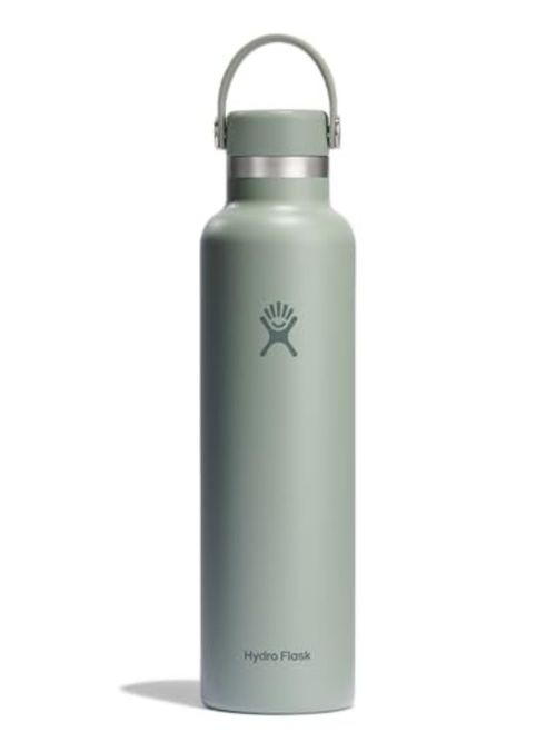 Insulated Water Bottle (Agave Green)