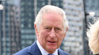 Prince Charles 'doesn't look impressed' after catching Covid