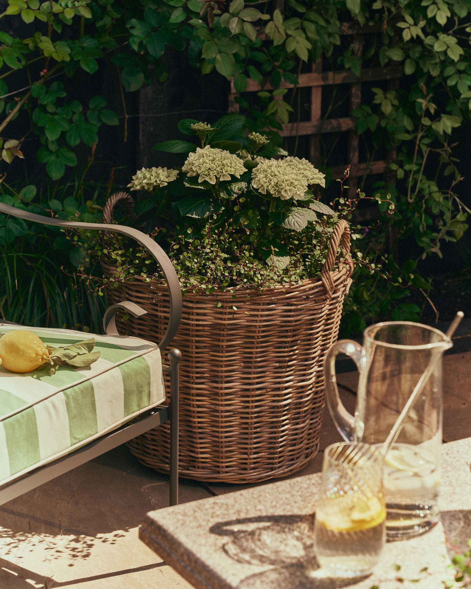 wicker planter with light green flowers planted inside.
