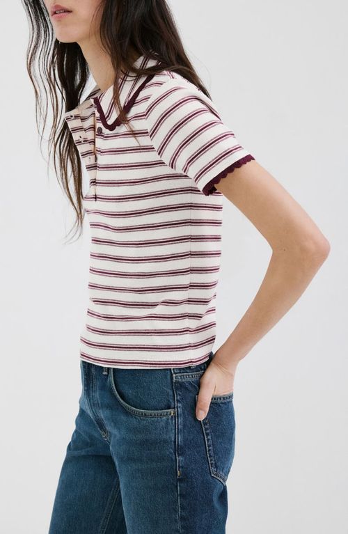 Stripe Scallop Collar Polo