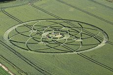 Sunbathers flock to a crop circle in a farmer's field on July 15, 2013, in Wiltshire, England. The crop circle measures about 500 feet (150 meters) across and lies east of Hackpen Hill, a spot known for its crop circles.