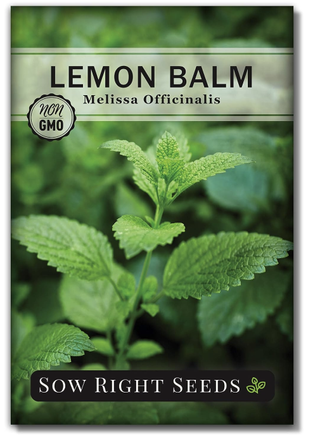 lemon balm seed packet